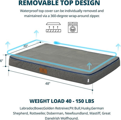 LIORCE Orthopedic Memory Foam XXL Dog Bed - 6" Thick Beds for Extra Large Sized Dog - Waterproof Removable Washable Cover & Wrap-Around Zipper - Ultimate Comfort & Easy Maintenance, Dary Grey