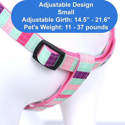 Pawtitas Multicolor Step-in Dog Harness – Adjustable No-Pull Vest for Puppies to Seniors, Safe & Comfortable S Teal/Pink/Purple