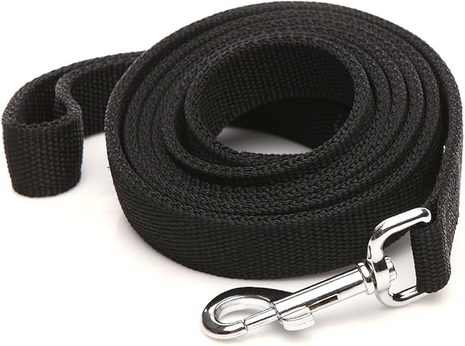 Strong Nylon Dog Leash with 2-Layer, 4 FT/ 6 Feet Long, 1 Inch Wide for Medium Large Dogs (1'' x 7 FT, Black)
