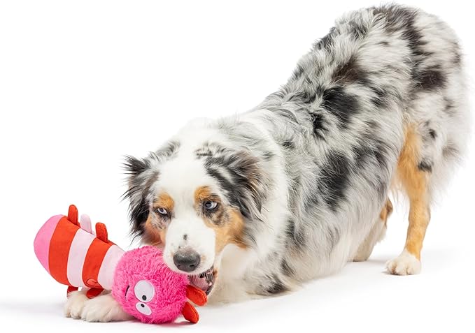 Huxley & Kent Funny Dog Toy w/Squeaker – Power Plush Squeaky Dog Toys for Small, Medium & Large Dogs – Soft Stuffed Animal for Indoor Play & Fetch - Fur Bug, One Size