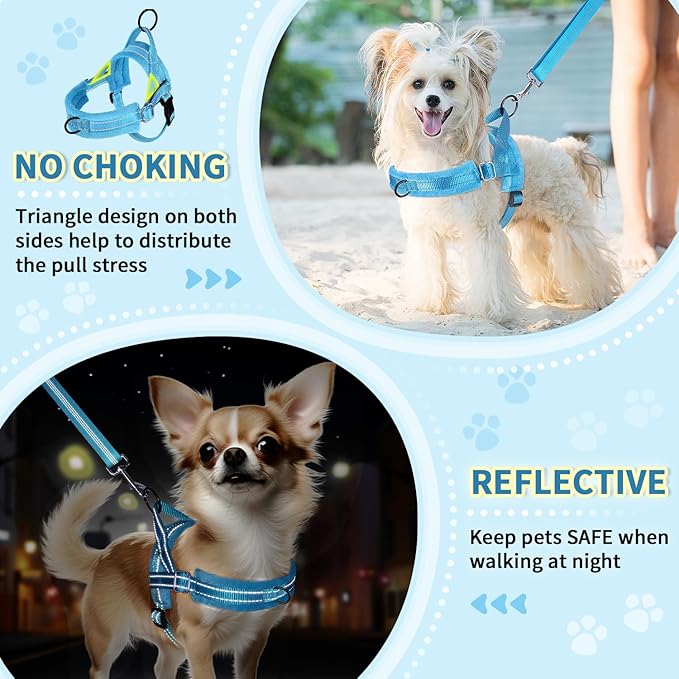 Lukovee No Pull Dog Harness and Leash Set, Soft Padded Small Dog Harness, Neck & Chest Adjustable Reflective Vest Puppy Harness with 4ft Lightweight Anti-Twist Dog Leash for Small Dogs (LBL, XS)