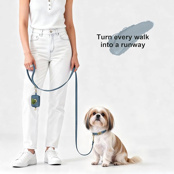 Didog Soft PU Leather Dog Collar, Stylish Quick Released Dog Collars for Small Dogs, Easy Clean Adjustable Pet Collar for Daily Walking, Blue, S Fit 10-16" Neck