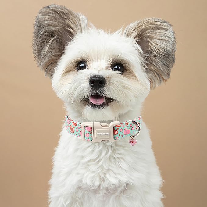 DOGWONG Valentine's Day Cute Loving Heart Printed Collar for Small Medium Large Dogs - Blue Cotton Collar for Girl and Boy Dogs