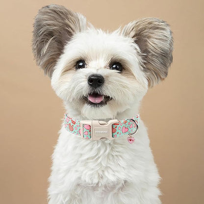 DOGWONG Valentine's Day Cute Loving Heart Printed Collar for Small Medium Large Dogs - Blue Cotton Collar for Girl and Boy Dogs
