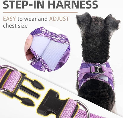 PUPTECK Dog Harness and Leash Set for Small Medium Dogs No Pull Step-in Soft Mesh Puppy Cat Vest Harnesses Reflective at Night, Purple S