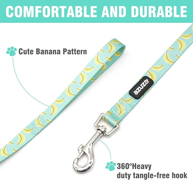azuza Dog Collar and Leash Set, Cute Patterns on Nylon Collar and Matching Leash, Great Option for Medium Dogs