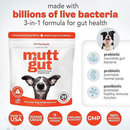 All-Natural 3-in-1 Dog Probiotic, Prebiotic, and Postbiotic Supplement Powder - Probiotics for Dogs with 135 Billion CFUs, Anti Diarrhea, Digestive Enzymes & Antioxidants (60g)
