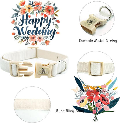 Elegant little tail Glittering Dog Collar, Wedding Cute Girl Boy Pet Collar White Bling Pet Collars with Durable Cotton Webbing Adjustable Dog Collars for X-Small Puppy