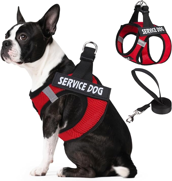 PUPTECK Service Dog Harness and Leash Set for Small Medium Dogs No Pull Step-in Soft Mesh Puppy with 2 Removable Patches Cat Vest Harnesses Reflective at Night, Red, S