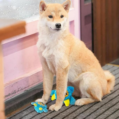 FCCUM Plush Squeaky Dog Toy Ball, Chew Guard, Soft and Comfortable, Training and Companionship, Little Monster Puppy Toys Suitable for All Breeds, (Blue, Small)