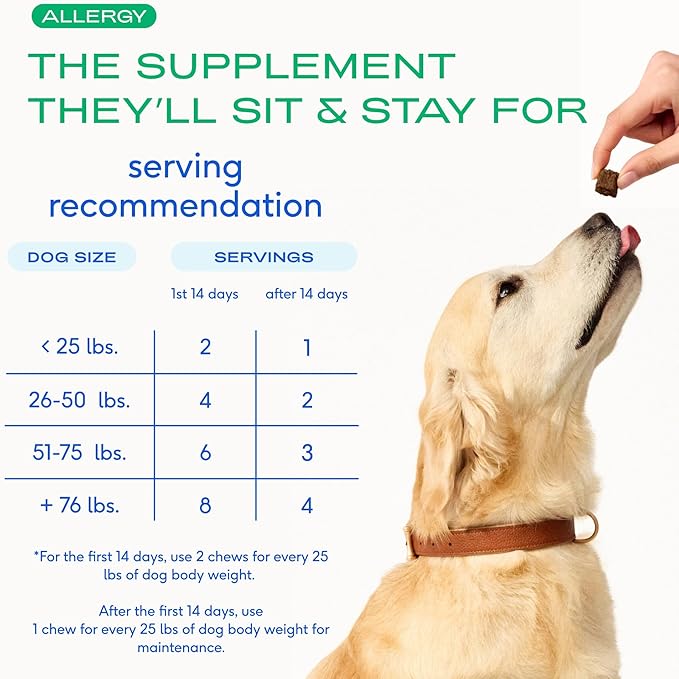 Native Pet Dog Allergy Chews - Dog Allergy Relief with Probiotics and Colostrum for Itchy Skin Relief to Support Seasonal Allergy and Healthy Immune System - All Natural Anti-Histamine - 30 Chews
