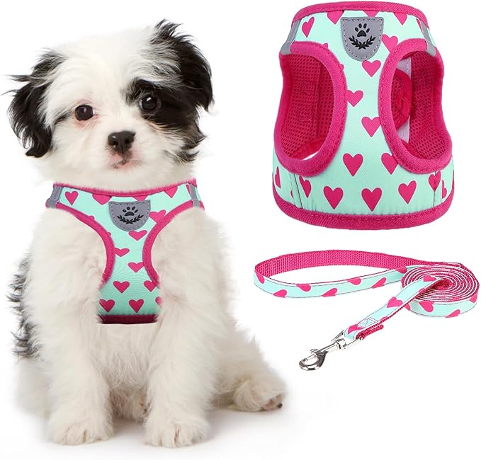 KOOLTAIL Dog Harness and Leash Set for Small Medium Dogs, Step in No Pull Soft Mesh Dog Harness Comfort Padded Pet Vest, Adjustable Reflective Easy Walking Puppy Cats Harnesses Training, Pink Heart XS