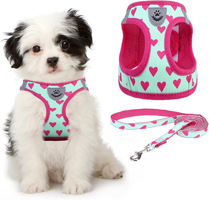 KOOLTAIL Valentines Dog Harness and Leash Set for Small Medium Dogs, Step in No Pull Soft Mesh Dog Harness Padded Pet Vest, Adjustable Reflective Easy Walking Puppy Harnesses Training, Pink Heart S