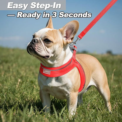 Dog Harness and Leash Set,Step in Small Sized Dog Harness,Soft Mesh,No-Chock,Reflective Adjustable,Secure with Hook & Loop Fastener,Puppy Vest for Small,Medium Dogs(Red,S)