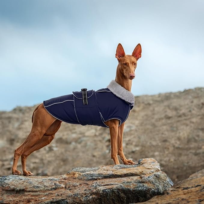 Lelepet Warm Dog Coat Waterproof Dog Jacket for Medium Dogs Reflective Fleece Vest with Adjustable Buckle Hook & Loop Windproof Cold Weather Coats for Small Medium Large Dogs, Navy Blue, M