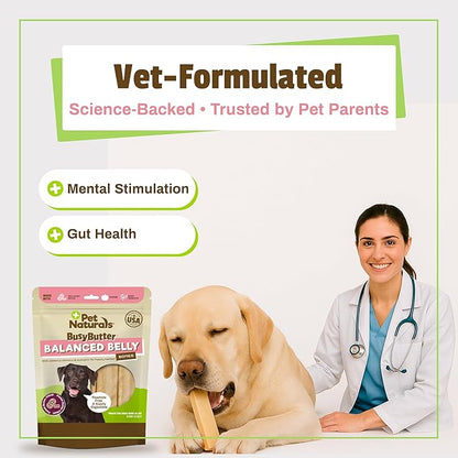 Pet Naturals BusyButter Balanced Belly Peanut Butter Bones, Rawhide-Free Chews for Medium/Large Dogs, Long Lasting Chew Bones, Probiotics & Pumpkin for Gut Health, 4 Count