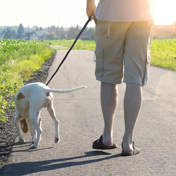 LWBMG Leather Dog Leash 6ft x 1/2 inch Heavy Duty Dog Leash, Strong Sturdy Genuine Leather Braided Dog Leash, Soft and Comfortable Leather Leash for Large, Medium and Small Dogs Training Black