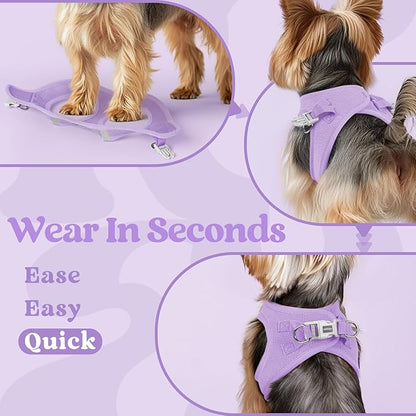 rabbitgoo Small Dog Harness, Step-in Soft Mesh Puppy Vest with Safety Buckle, Breathable Reflective Pet Harness for Extra Small Dogs, Light Purple XXS