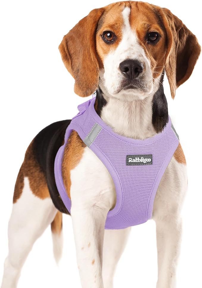 rabbitgoo Small Dog Harness, Step-in Soft Mesh Puppy Vest with Safety Buckle, Breathable Reflective Pet Harness for Small Medium Dogs, Light Purple XL