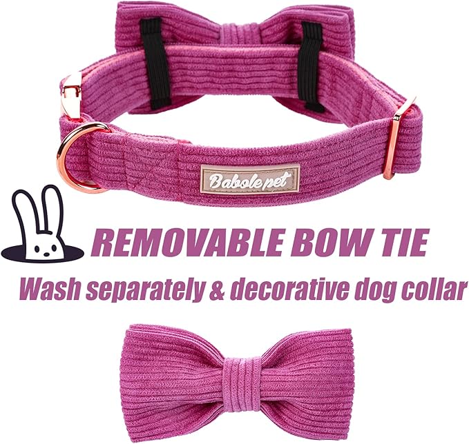 Purple Dog Collars for Small Dog,Cute Corduroy Dog Collar with Bow Tie Safety Metal Buckle Adjustable Puppy Collars for Small Medium Large Boy&Girl Dogs,S-Neck 10"-16"