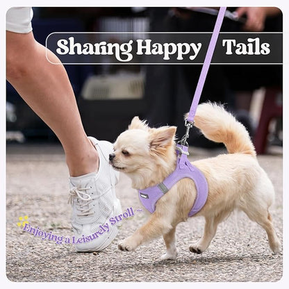 rabbitgoo Dog Harness Small Sized and Leash Set, Step in Soft Light Puppy Vest, Breathable Mesh Pet Harness, Reflective for Safe Easy Walking, Light Purple XXXS