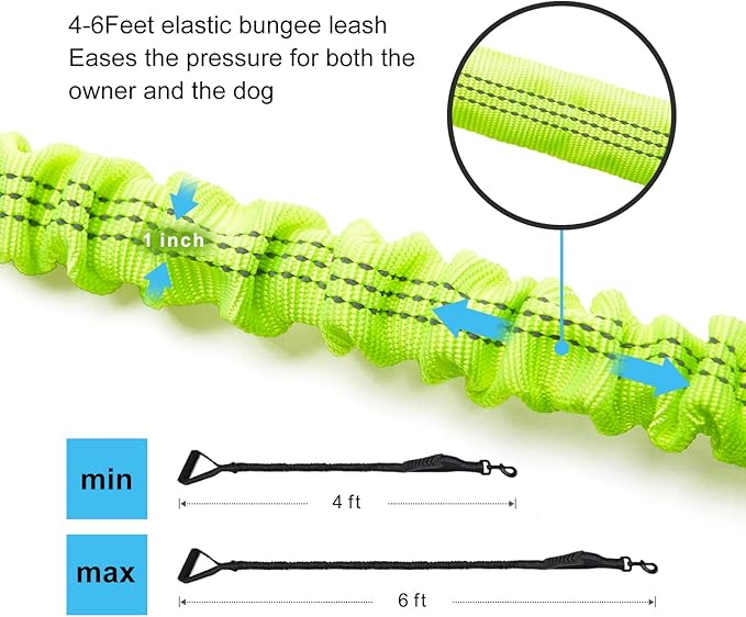 LEADSOM 6FT Highly Reflective Heavy Duty Elastic Bungee Medium and Large Dog Leash Shock Absorbing with Comfortable Padded Handle and Traffic Handle Suitable for Training