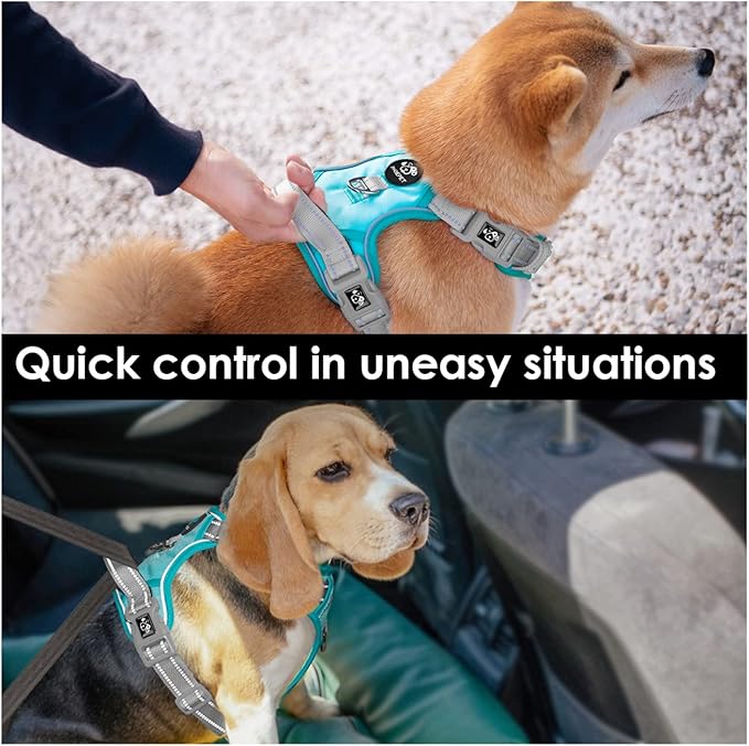 PHOEPET No Pull Dog Harness, Unique Colors Reflective Adjustable Dog Vest, with Soft Training Handle Metal Clips for Small Medium Large Dogs (Mint Green Base & Grey Straps,M)