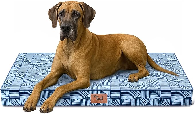 Tail Stories Outdoor Extra Large Dog Bed, Jumbo Waterproof Dog Bed for Large Dogs, Orthopedic Egg Crate Foam Pet Mat with Removable Oxford Cooling Cover, White Blue