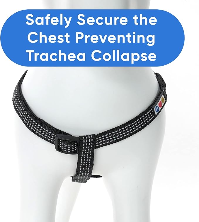 Pawtitas Reflective Step-in Dog Harness – Adjustable No-Pull Vest for Puppies to Seniors, Safe & Comfortable, L Black