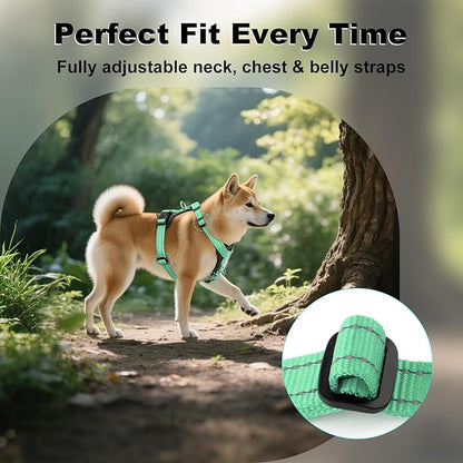 Plutus Pet Adjustable No Pull Dog Harness with Leather Accents, Heavy Duty Reflective Nylon Vest for Training, Hiking, Easy Walk Harness for Small, Medium, Large Dogs (Teal, L)