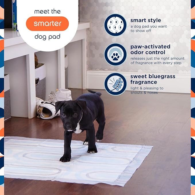 Pet Life Unlimited Smart Prints Extra Large Puppy Pads – 26" x 30", 50 Count (XL) | Stylish Dog Training Pads with Odor Controlling Wetness-Activated Sweet Bluegrass Scent | USA Made