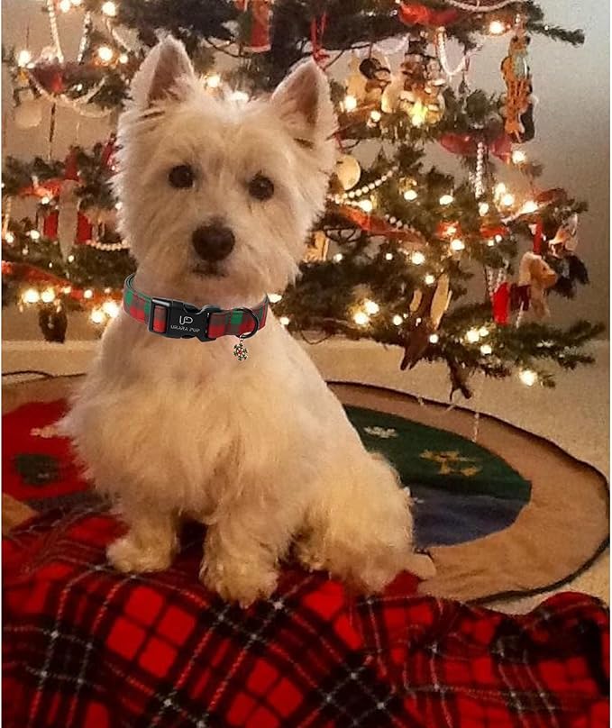 Christmas Dog Collar, Red and Green Plaid Adjustable Pet Collar with Snowflake Charm, Holiday Dog Accessories for Small Medium Large Dogs
