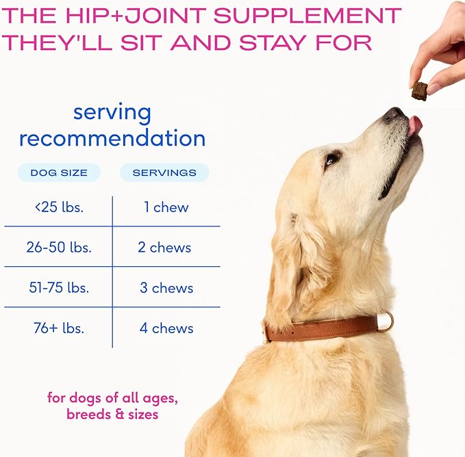 Native Pet Hip & Joint Supplement for Dogs - Advanced Dog Joint & Arthritis Supplement - Helps Maintain Healthy Cartilage, Joint Flexibility, Lubrication, & Function - with ESM & Collagen - 60 Chews
