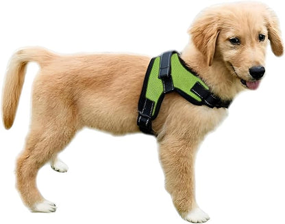 No Pull Reflective Adjustable Dog Harness with Handle- Comfortable Soft All Weather Mesh, Easy On Puppy Harness for Small Medium and Large Dogs (Green) X-Small