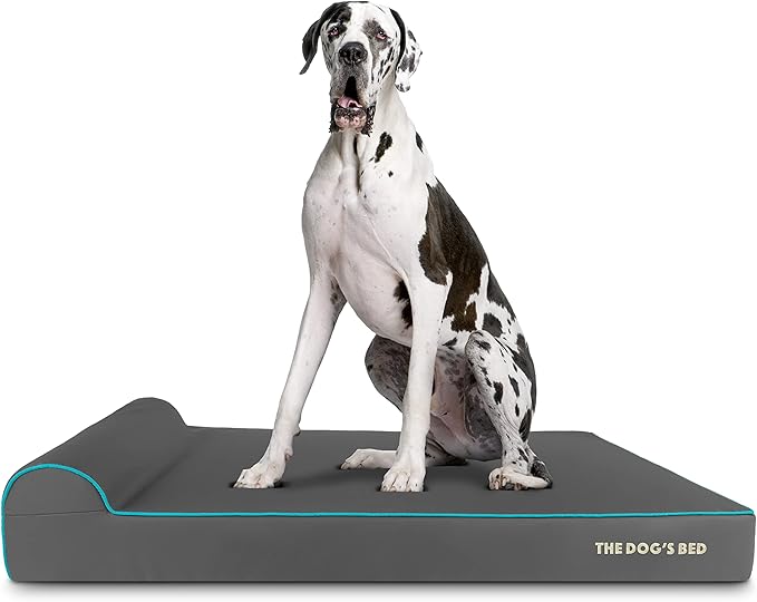 The Dog’s Bed Orthopedic Headrest Dog Bed XXL Grey/Blue, Memory Foam, Pain Relief for Arthritis, Hip & Elbow Dysplasia, Post Surgery, Lameness, Waterproof Washable Cover, Veterinary Approved