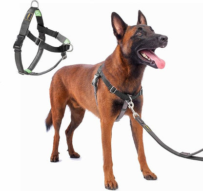 No Pull Dog Harness Freedom Walking, Easy Walk with Front and Back Stainless D-Rings, Sewn-in Instructions Tags for Easy Use, for Medium/Large Dogs Weight 40-60 lbs (Black, Med/Large)
