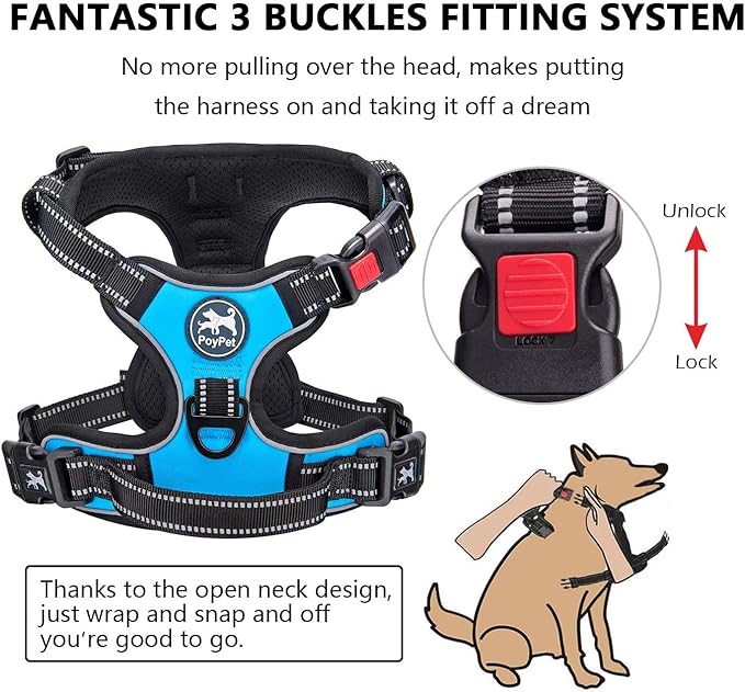 PoyPet Dog Harness and Leash Combo, Escape Proof No Pull Vest Harness, with 5 Feet Leash, Reflective Adjustable Soft Padded Pet Harness with Handle for Small to Large Dogs(Blue,S)