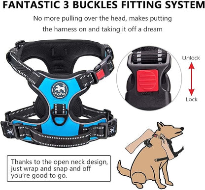 PoyPet Dog Harness and Leash Combo, Escape Proof No Pull Vest Harness, with 5 Feet Leash, Reflective Adjustable Soft Padded Pet Harness with Handle for Small to Large Dogs(Blue,M)