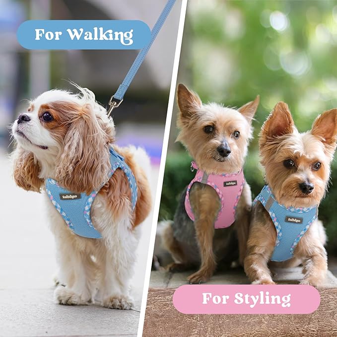 rabbitgoo Small Dog Harness, Step-in Soft Mesh Puppy Vest with Safety Buckle, Breathable Reflective Pet Harness for Extra Small Dogs, Blue & Plaid Trim XXS