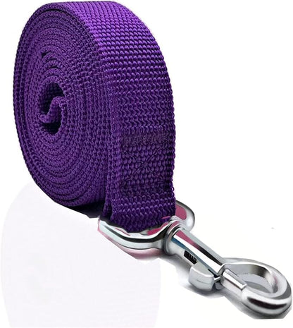 Nylon Dog Leash 10 Feet Long, Walking Training Dog Leashes for Medium Large Dogs, 1 Inch Wide (Purple)