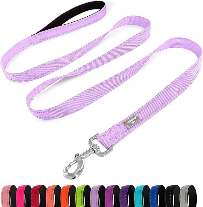 Reflective Dog Leash 6 FT Padded Handle Nylon Dogs Leashes for Large Dogs Lavender