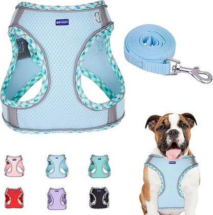 Step in Mesh Dog Harness and Leash Set - Breathable Air Mesh Reflective Escape Proof Vest, No Choke, Lightweight, Blue