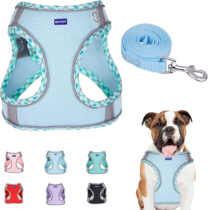 Step in Mesh Dog Harness and Leash Set - Breathable Air Mesh Reflective Escape Proof Dog Harness Vest - No Choke, Lightweight