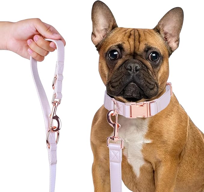 Soft Leather Dog Collar and Leash (6.6') Set - Stylish Rose Gold Heavy Duty Metal Buckle, 4 Adjustable Lengths Leash for Small Medium Large Dogs - Comfortable & Easy to Clean XS(8"-12"), Gold Pink