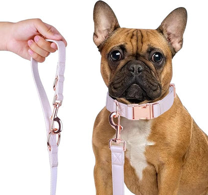 Soft Leather Dog Collar and Leash (6.6') Set - Stylish Rose Gold Heavy Duty Metal Buckle, 4 Adjustable Lengths Leash for Small Medium Large Dogs - Comfortable & Easy to Clean XS(8"-12"), Gold Pink