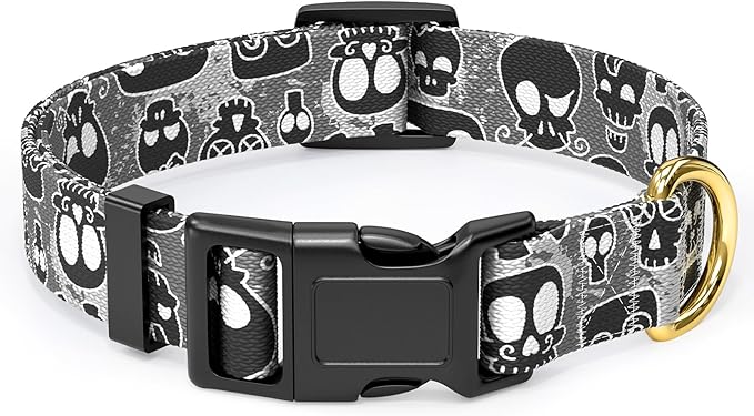Rnivvi Dog Collar for Small Dogs, Cute Heavy Duty Adjustable Puppy Collar with Quick Release Buckle for Girl & Female, Pet Accessories for Walking Running, XS Length 5/8" Width, Black Skull