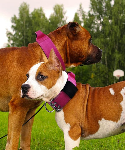 Dog Collar for Large Dogs - 2 in Hot Pink Collars with Handle for Extra Large Breed, Heavy Duty K9 Nylon Pet Tactical Collar XL, Best Choice for Pitbull German Shepherd Doberman Rottweiler 17"-22"