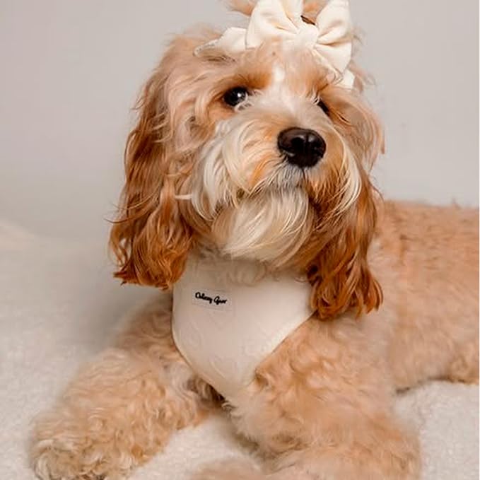 Large Dog Harness Set – Cute No Pull, All Weather, Breathable Harness and Leash Set with Collar, Bandana, Sailor Bow & Poop Bag Holder – Adjustable, Soft & Stylish – Cream Hearts on Jacquard Fabric
