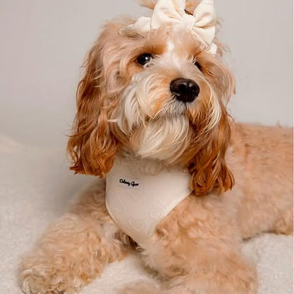 Large Dog Harness Set – Cute No Pull, All Weather, Breathable Harness and Leash Set with Collar, Bandana, Sailor Bow & Poop Bag Holder – Adjustable, Soft & Stylish – Cream Hearts on Jacquard Fabric