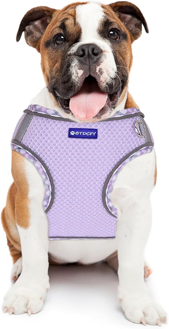Step in Mesh Dog Harness & Leash Set - Breathable Air Mesh Reflective Escape Proof Vest, No Choke, Lightweight, Purple